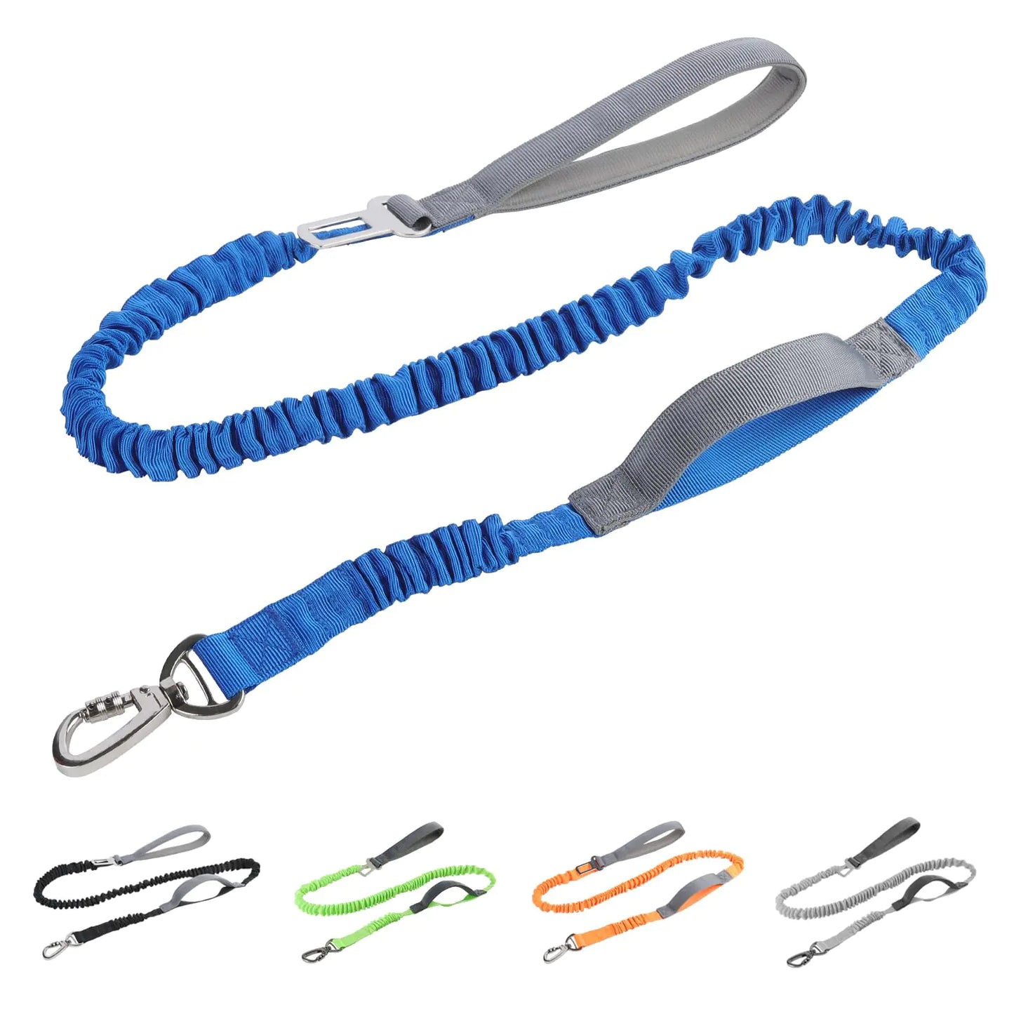 Shock Absorbing Leash
