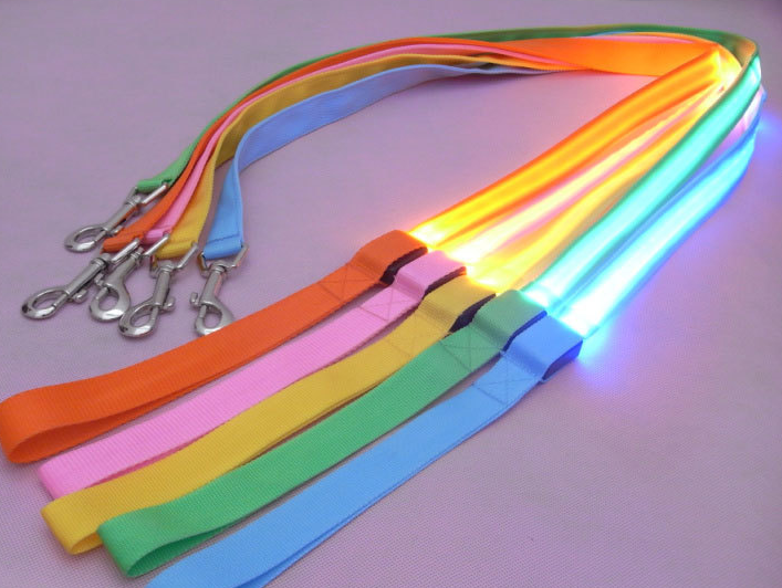 LED Leash