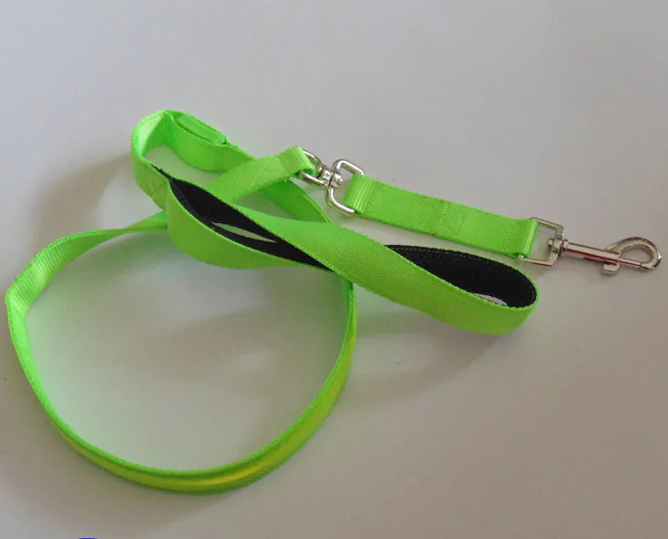 LED Leash
