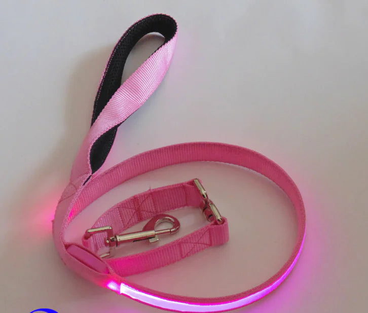 LED Leash