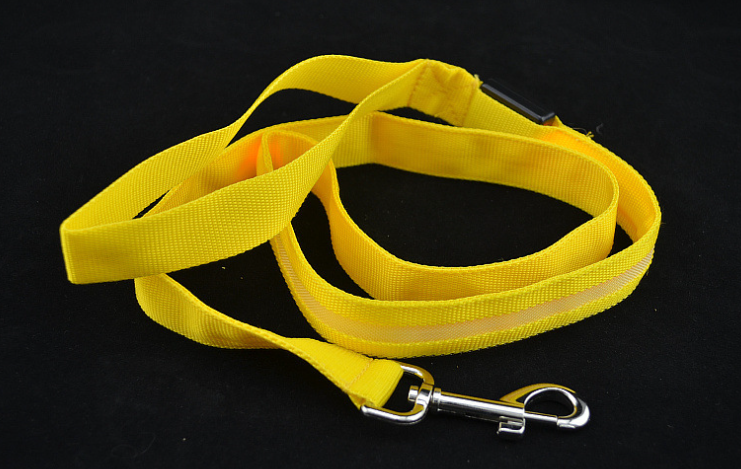 LED Leash