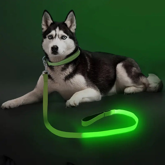 LED Leash