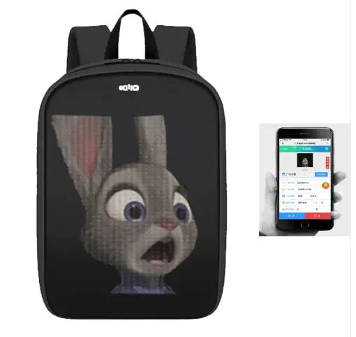 Screen backpack